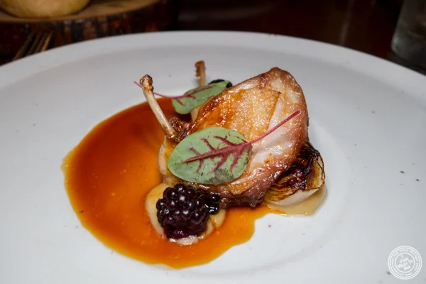 Quail at The Musket Room in NYC