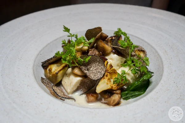 Smoked ricotta dumplings at The Musket Room in NYC
