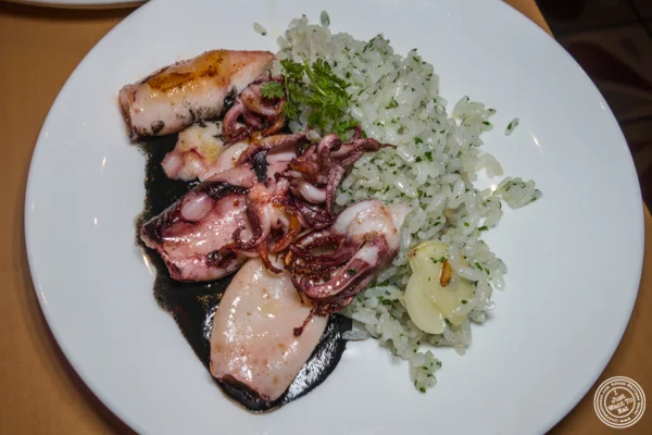 Calamares en su tinta at Jaleo in Washington DC