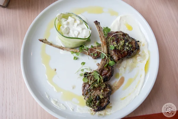 Lamb chops at Zaytinya in Washington DC