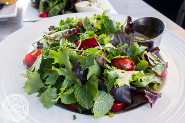 Green salad at Dolce & Salato in Hoboken, NJ