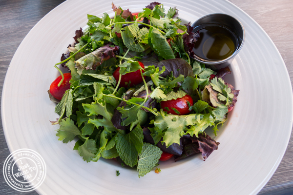 Green salad at Dolce & Salato in Hoboken, NJ