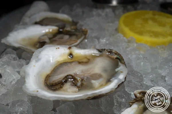 Island Creek oysters at Irvington in NYC, NY