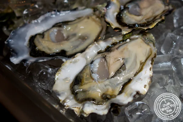 Sawmill Bay Oyster
