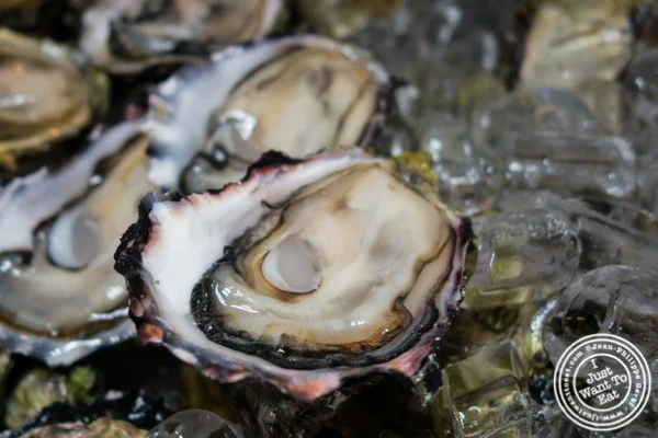 Mac’s Oyster
