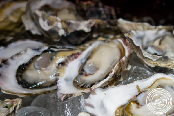 Pacific Rim Oysters