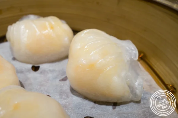 Har gow at Tim Ho Wan in Hell's Kitchen
