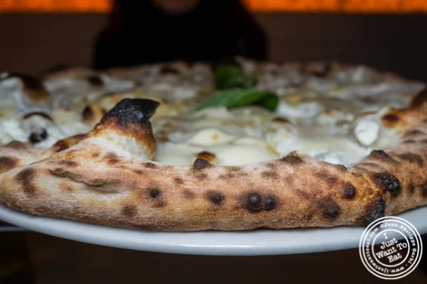 4 cheese pizza at Levante in LIC