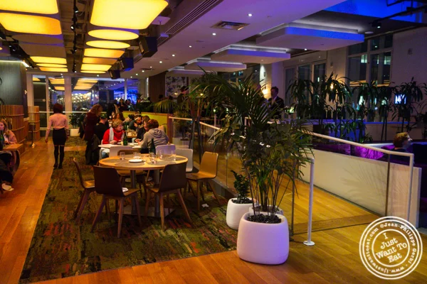 Dining room at Green Fig in the Yotl Hotel