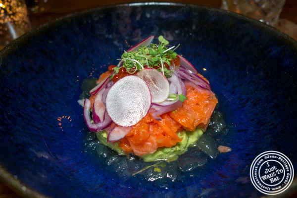 King Salmon tartare at Mifune in NYC, NY
