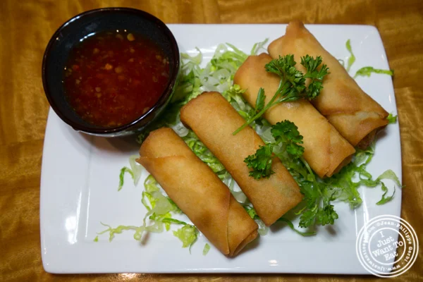 Vegetarian Spring rolls at Bugis Street Brasserie and Bar in Times Square