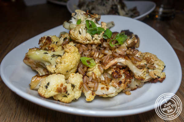 Roasted cauliflower and farro at Delphine in the W Hotel, Los Angeles