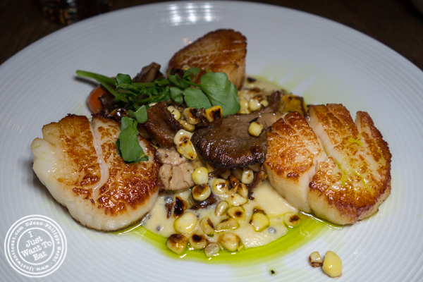 Diver scallops at Delphine in the W Hotel, Los Angeles