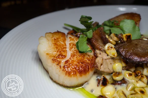 Diver scallops at Delphine in the W Hotel, Los Angeles