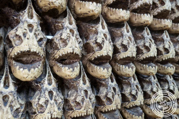 Piranhas decor at Ironside Fish & Oysters in San Diego
