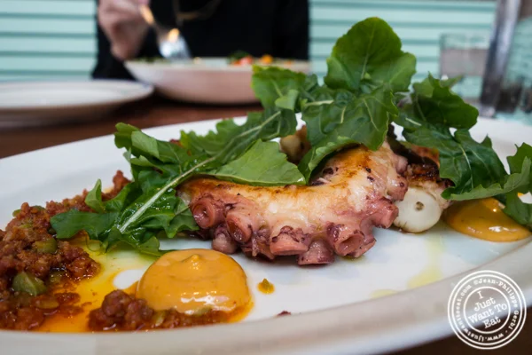 Octopus a la plancha at Ironside Fish & Oysters in San Diego