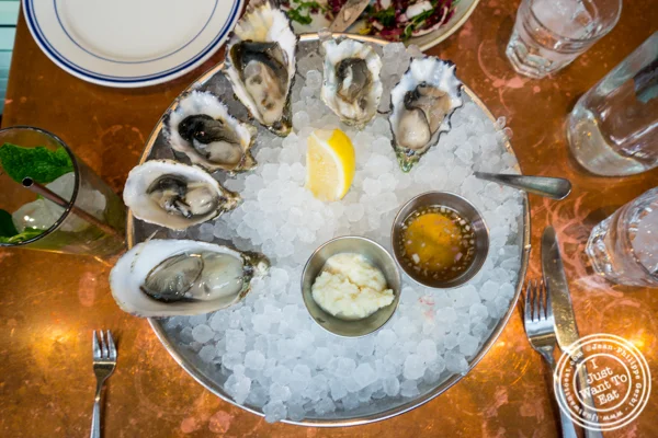Oysters at Ironside Fish & Oysters in San Diego