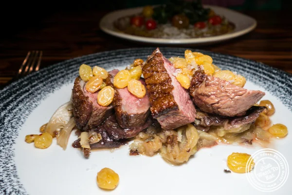 Duck at The Harrow in Hell's Kitchen