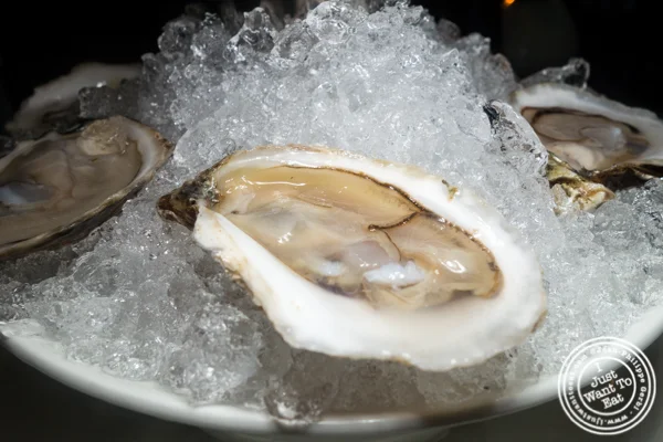 Oysters at Charlie Palmer Steak in NYC, NY