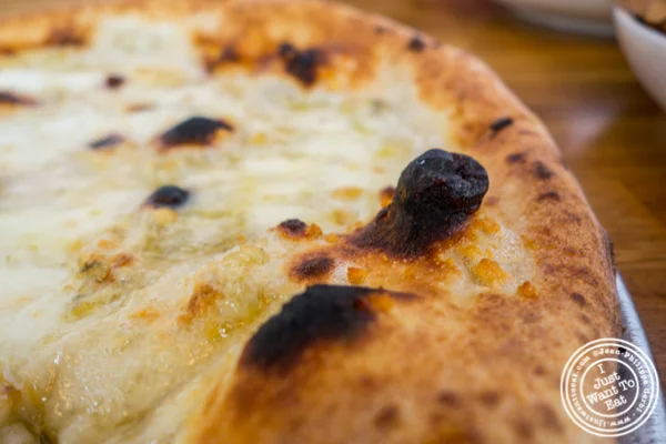Four kings pizza at Love and Dough in Brooklyn