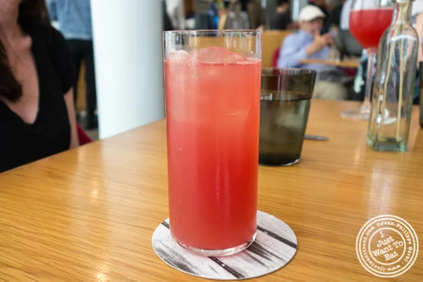 Blood orange soda at Untitled in NYC, NY