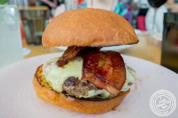 Cabbot cheddar burger at Untitled in NYC, NY