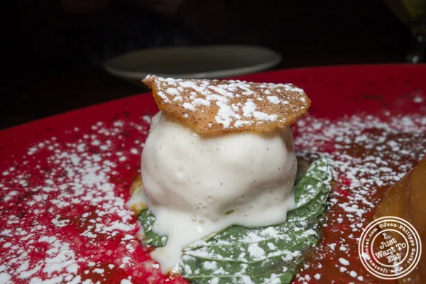 Vanilla ice cream at Woodpecker by David Burke in NYC, NY