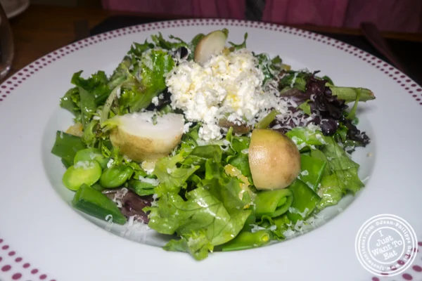 Spring salad at Bar Boulud in NYC, NY