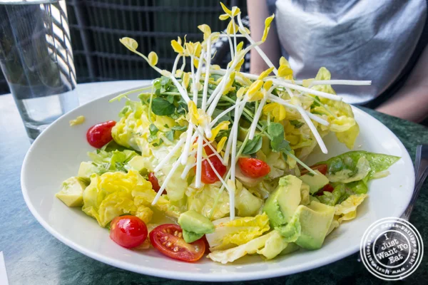 Butter lettuce salad at Cecconi's in Dumbo