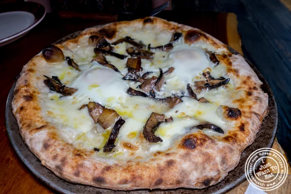 Mushroom and egg pizza at Shelter Pizza in Williamsburg, Brooklyn