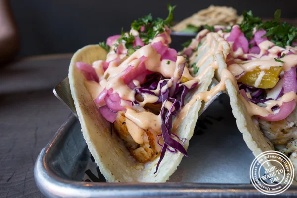 Shrimp taco at Shaka Bowl in Hoboken, NJ