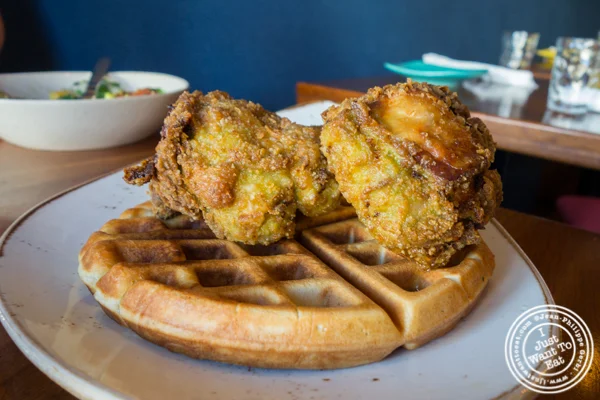 Kerala fried chicken with coconut waffle at Soul Curry in Hoboken, NJ