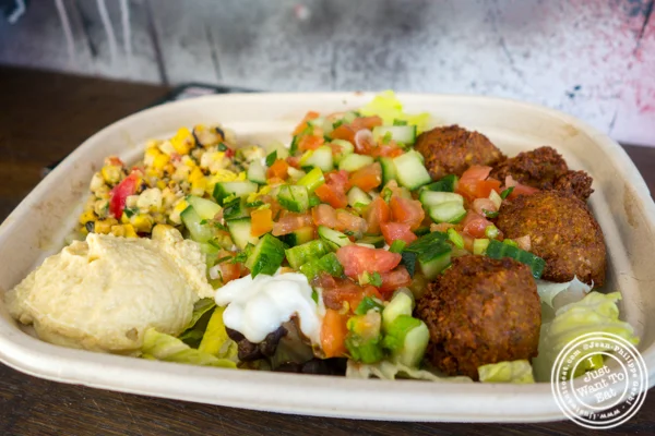 Falafel bowl at Loquito, Taco Arabes in Hoboken, NJ
