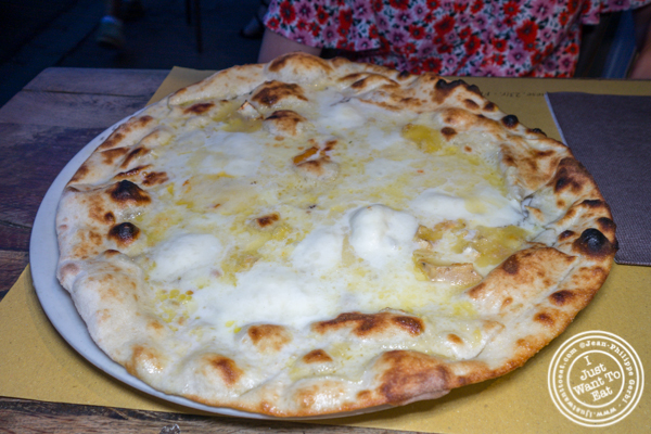 Quattro formaggi pizza at Pizzeria Antica Porta in Florence, Italy