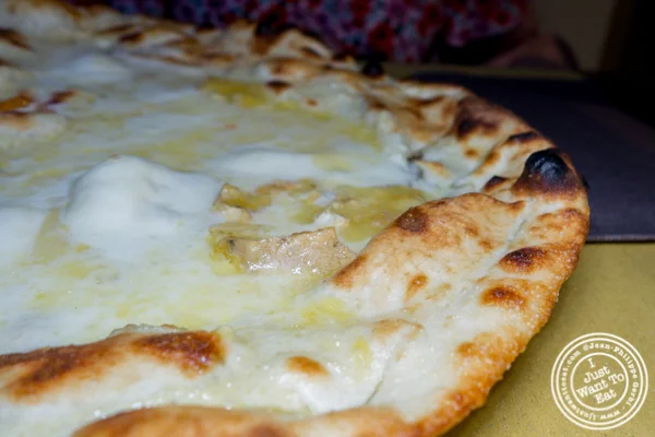 Quattro formaggi pizza at Pizzeria Antica Porta in Florence, Italy