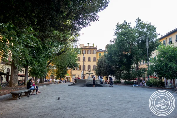 Piazza di Santo Spirito