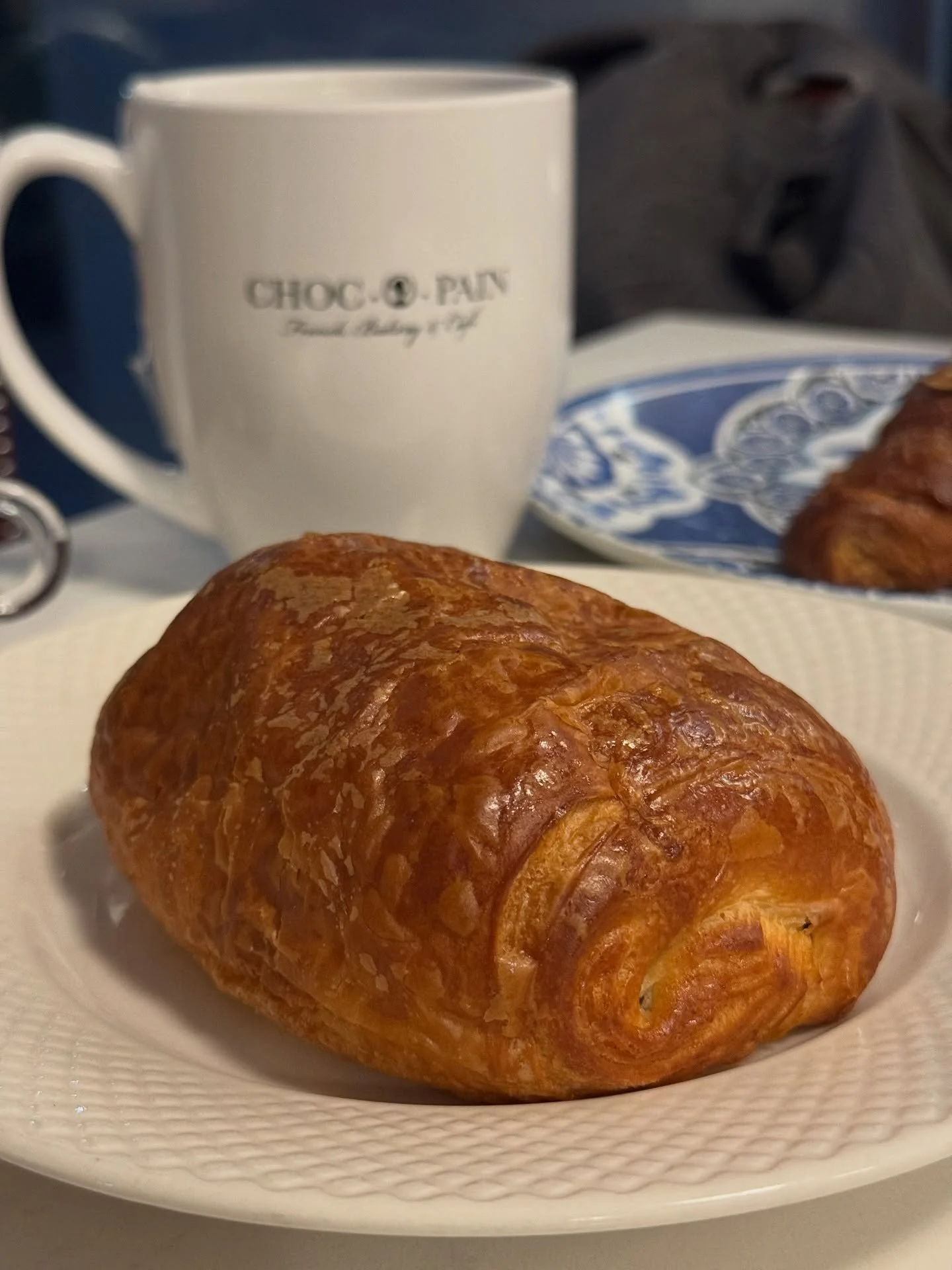 Chocolate croissant at @chocopainbakery in Hoboken 😍
.
.
.

.
#ijustwanttoeat #hoboken #hobokennj #hobokenfood #hobokeneats #food #foodpic #breakfast #petitdejeuner  #frenchfood #eastcostfoodies #foodblog #foodreview #foodblogger #blogger #chocolate