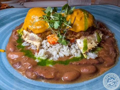 My trip to Savannah: Alligator Soul