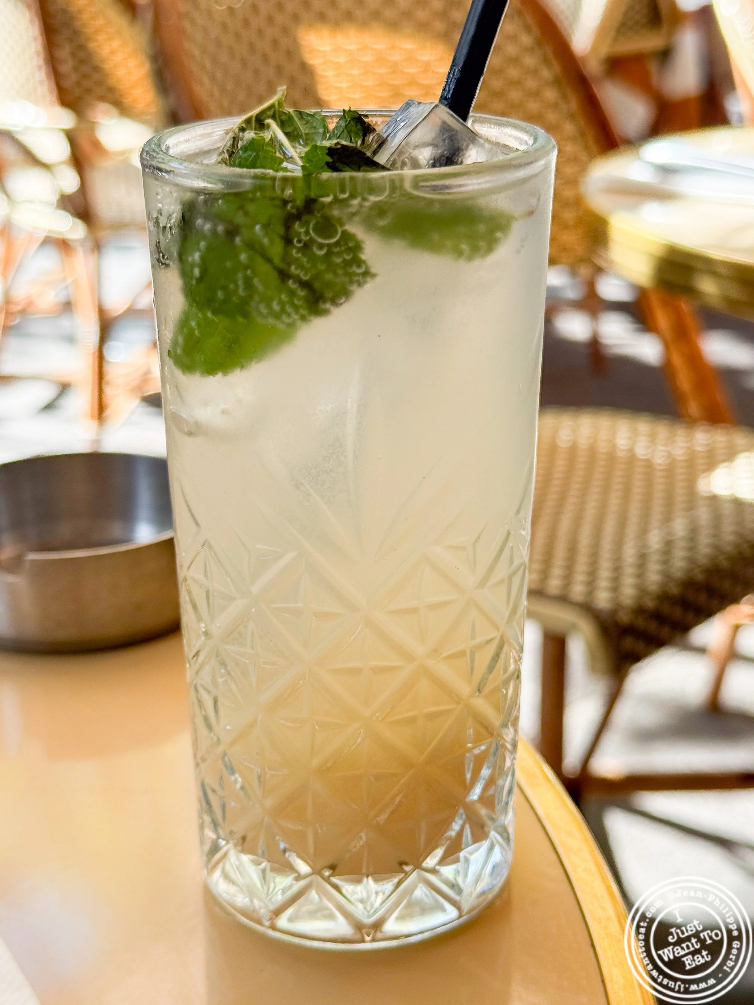 Green Ginger mocktail at La Terrasse Cent Huit in Paris, France