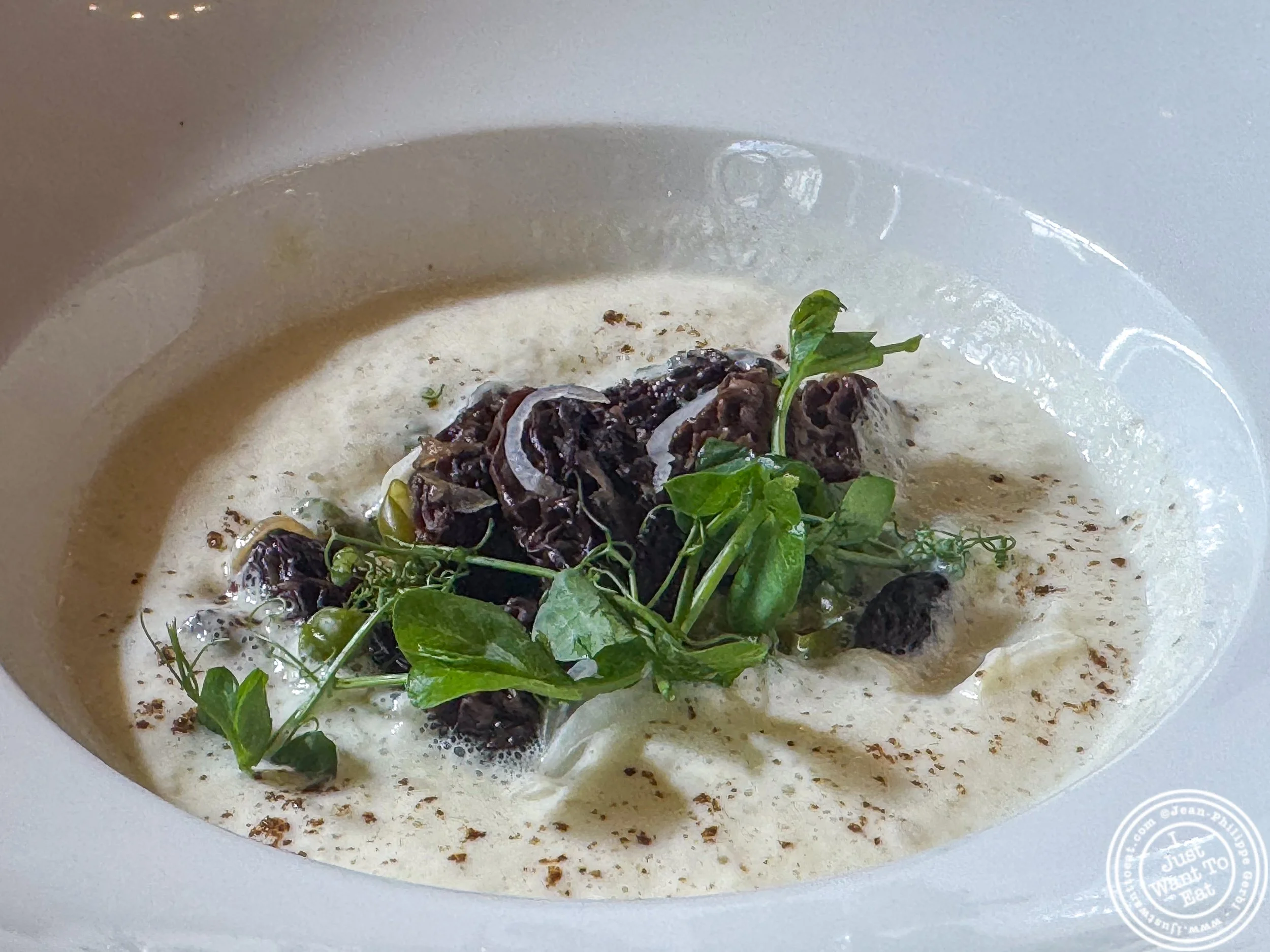 Morel mushroom and vin jaune fricassée, sweet onion cream at Le Train Bleu, Paris, France