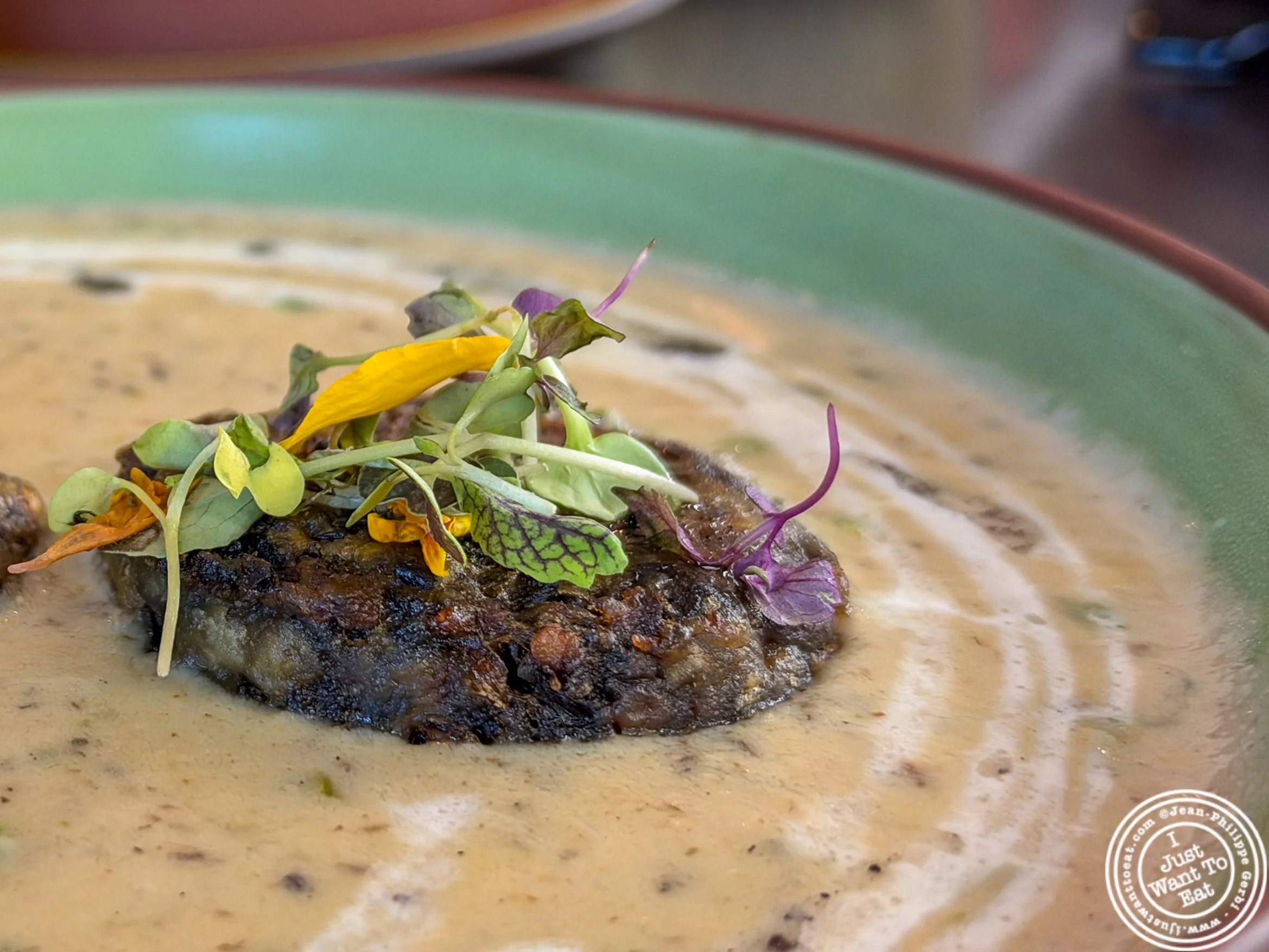 Mushroom malai mutter at Aarzu in Freehold, NJ