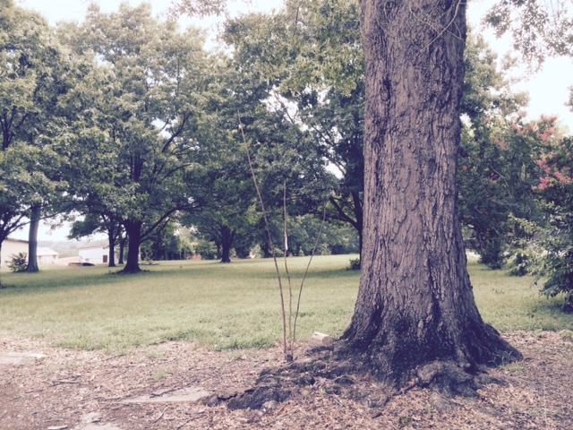 Grounds where Union soldiers were kept as prisoners of war. 