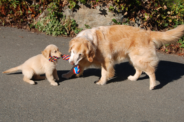 Powerful Negotiation