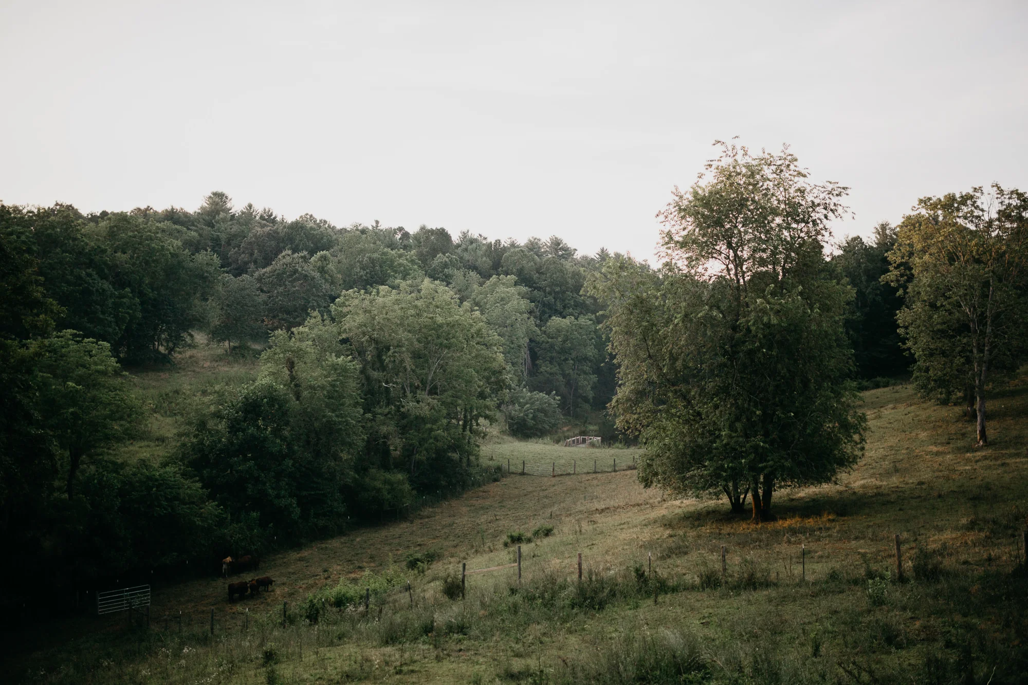 AnnieThomas-74.jpg