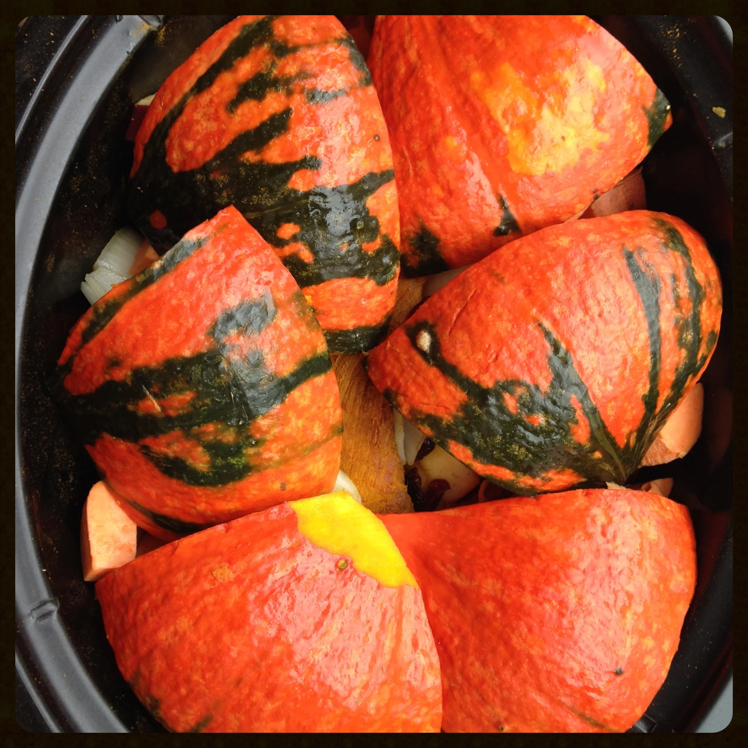 Red Kuri squash covered pork