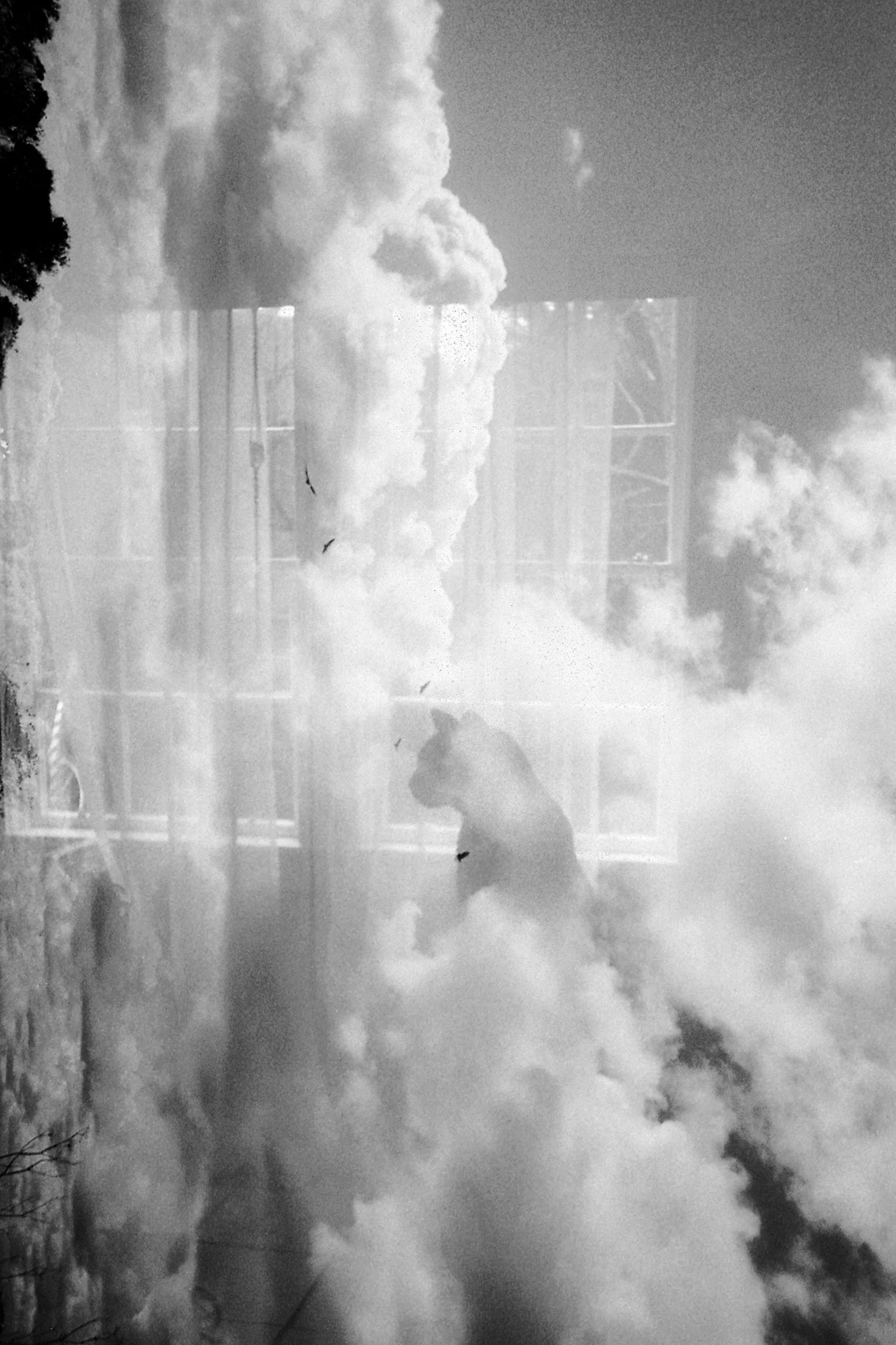 20210330007-bw.jpg