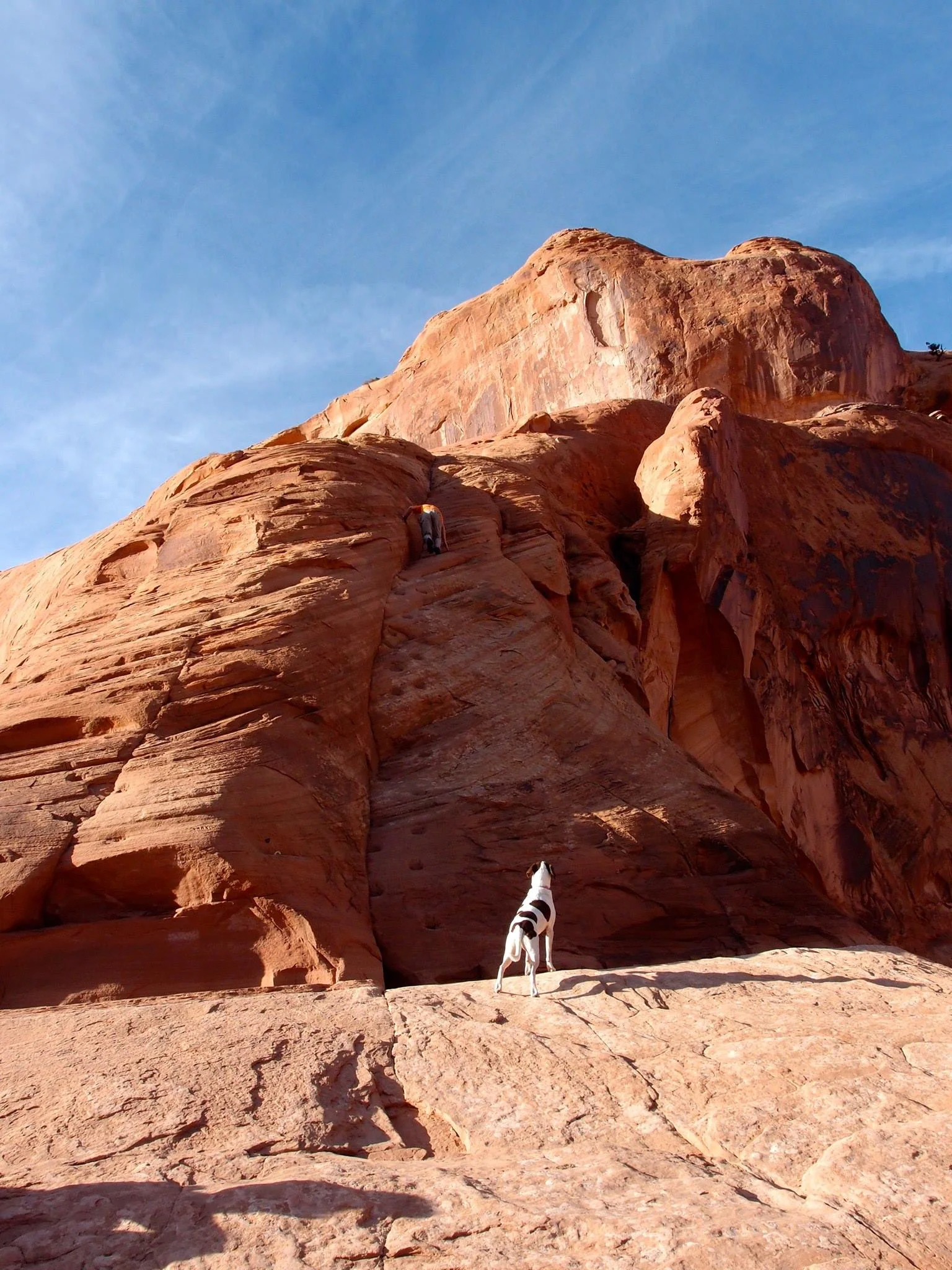 Scrambling up the sandstone ramp to reach the top of Corona Arch as Soleille the dog looks on. Photo by Mandi Prout