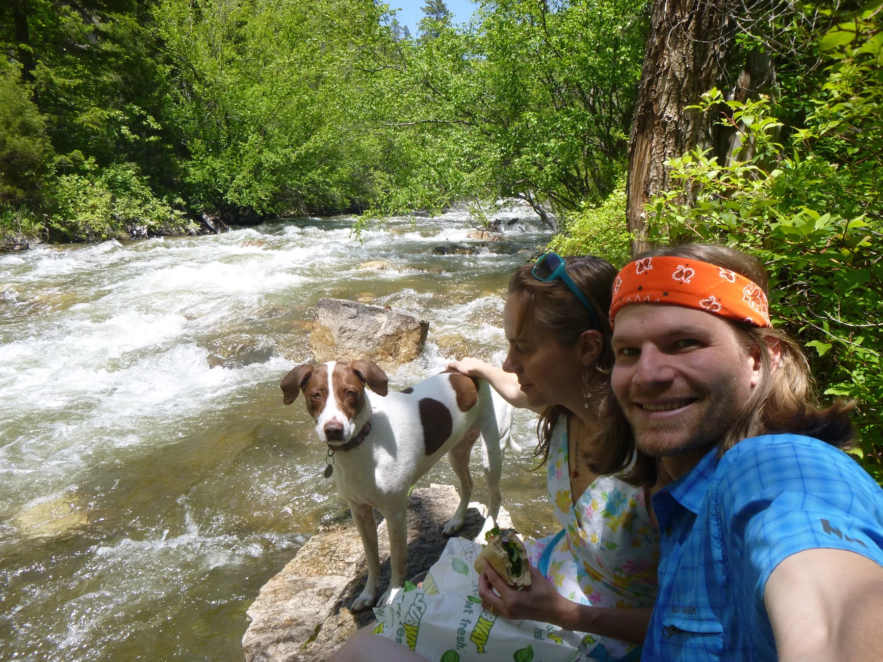 When Dreams Fall from the Sky