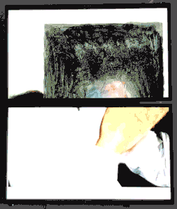 birds_install3best.gif