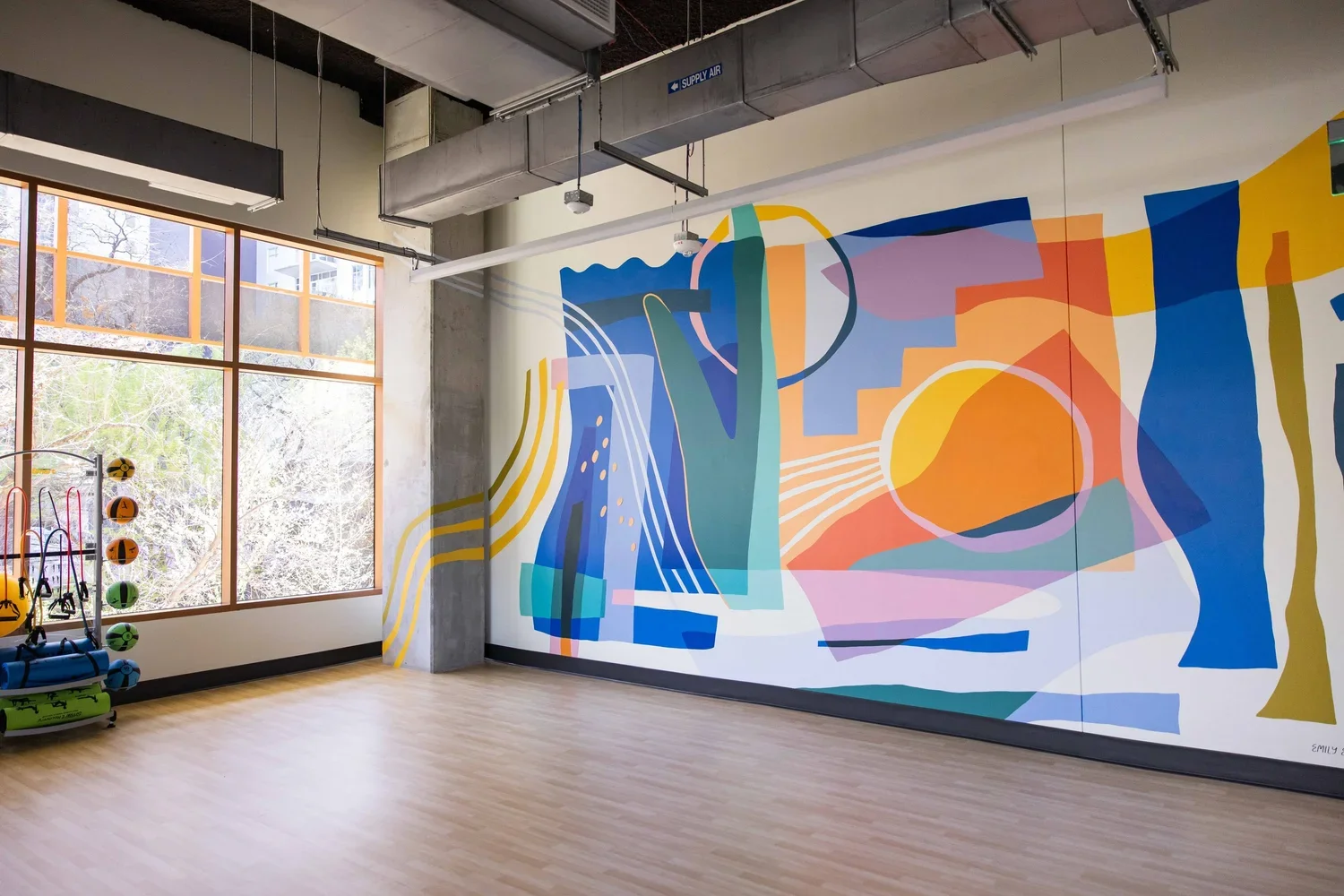 Austin Gym Mural by Emily Eisenhart